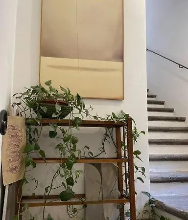 Apartamento Mini Oliva